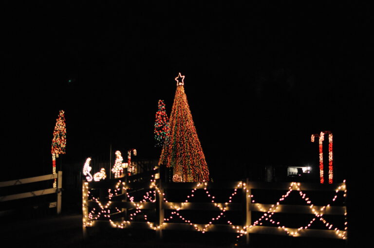 Httpschristmas Lights New.s3.Amazonaws.comuploadsdisplay Picture110250392 5 1102 1211220326327776086