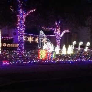 Httpschristmas Lights New.s3.Amazonaws.comuploadsdisplay Picture148151192 5 1481 1211250350131019474