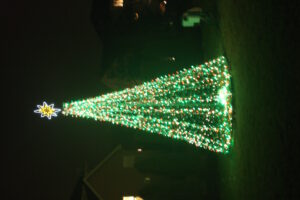 Httpschristmas Lights New.s3.Amazonaws.comuploadsdisplay Picture170659702 5 1706 1310251209206712751
