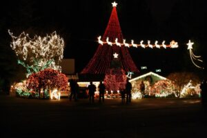 Httpschristmas Lights New.s3.Amazonaws.comuploadsdisplay Picture196272312 5 1962 1412091103176202236
