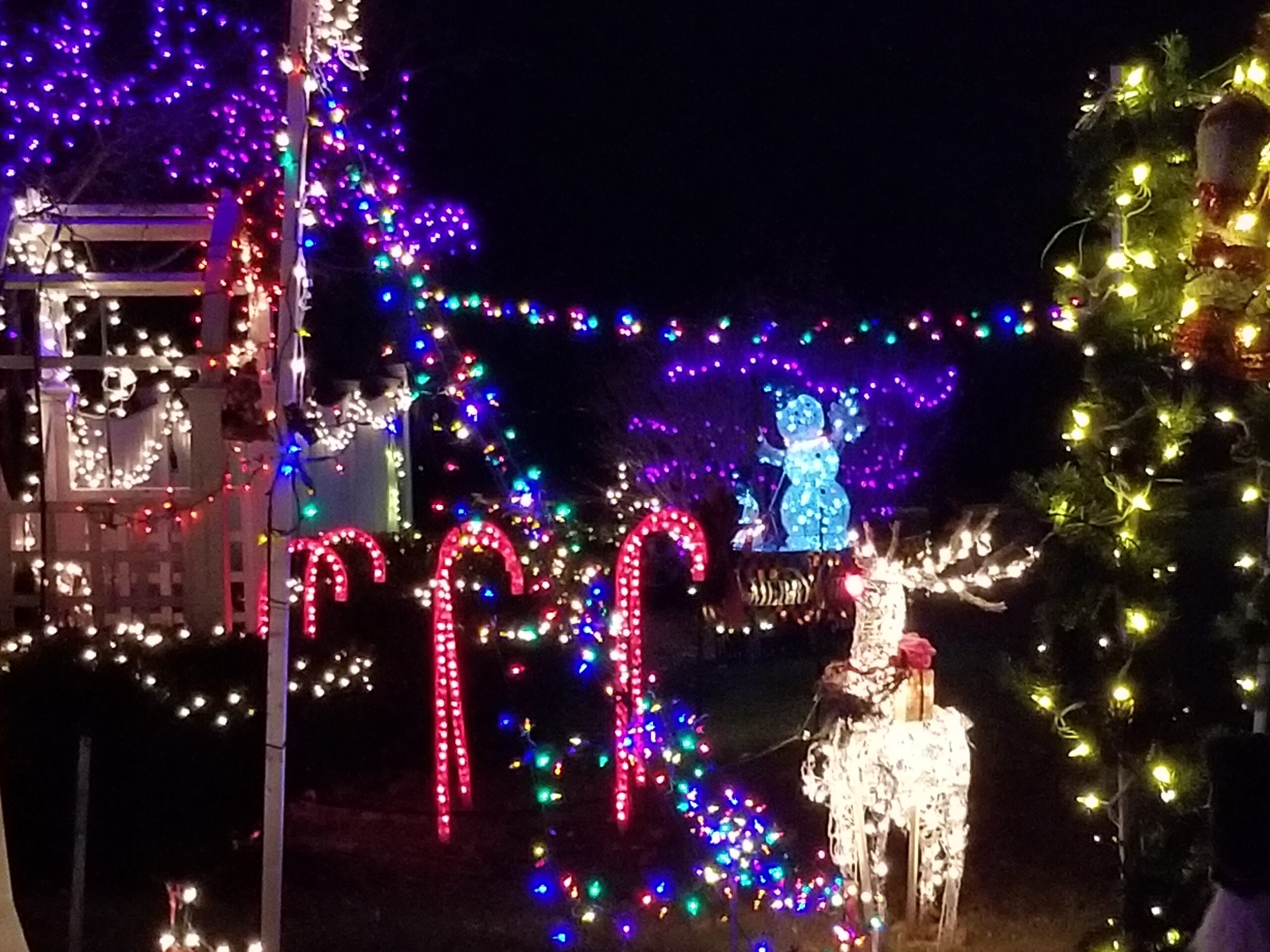 Httpschristmas Lights New.s3.Amazonaws.comuploadsdisplay Picture25541102320231214 191030 Scaled