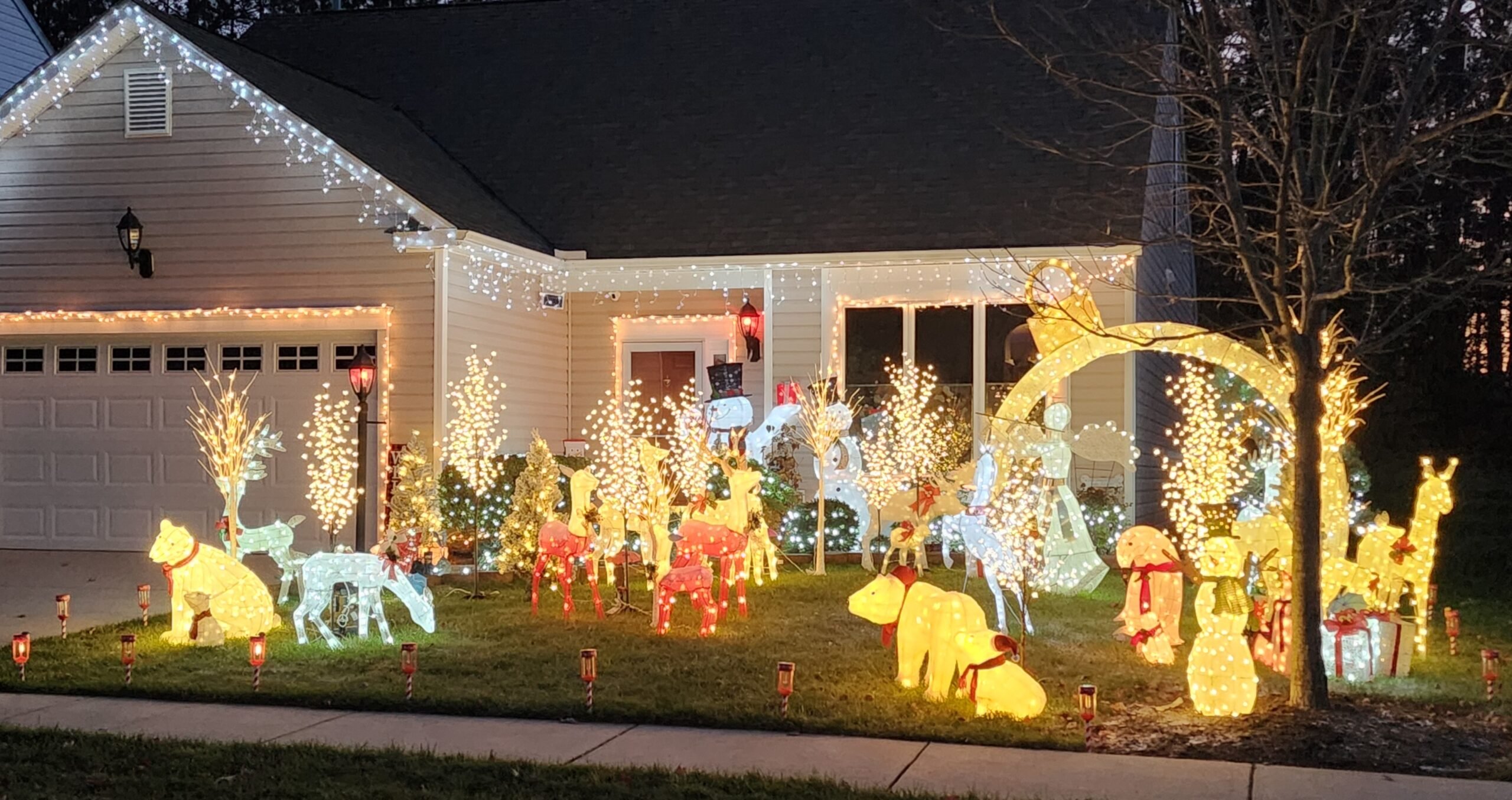 20241130 171515 1 Scaled 1