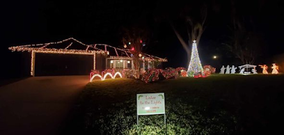 295911467 8242997199999999