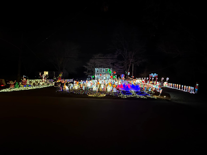 3976356870000001 748786102