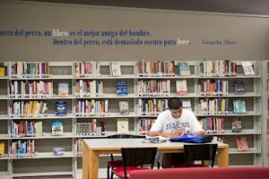 462301131 1191068731