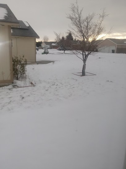 462668289 1191479657