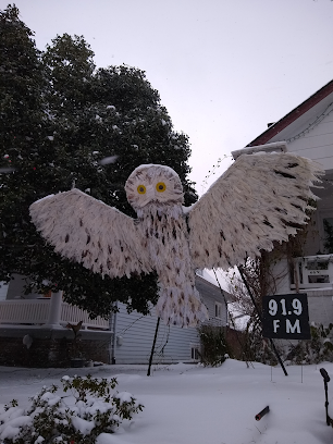 476634006 1223450527