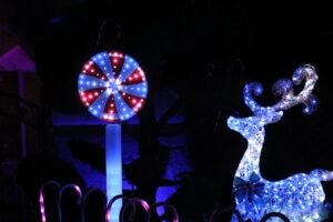 79711568 1263054453885760 8772479889015046144 O 2