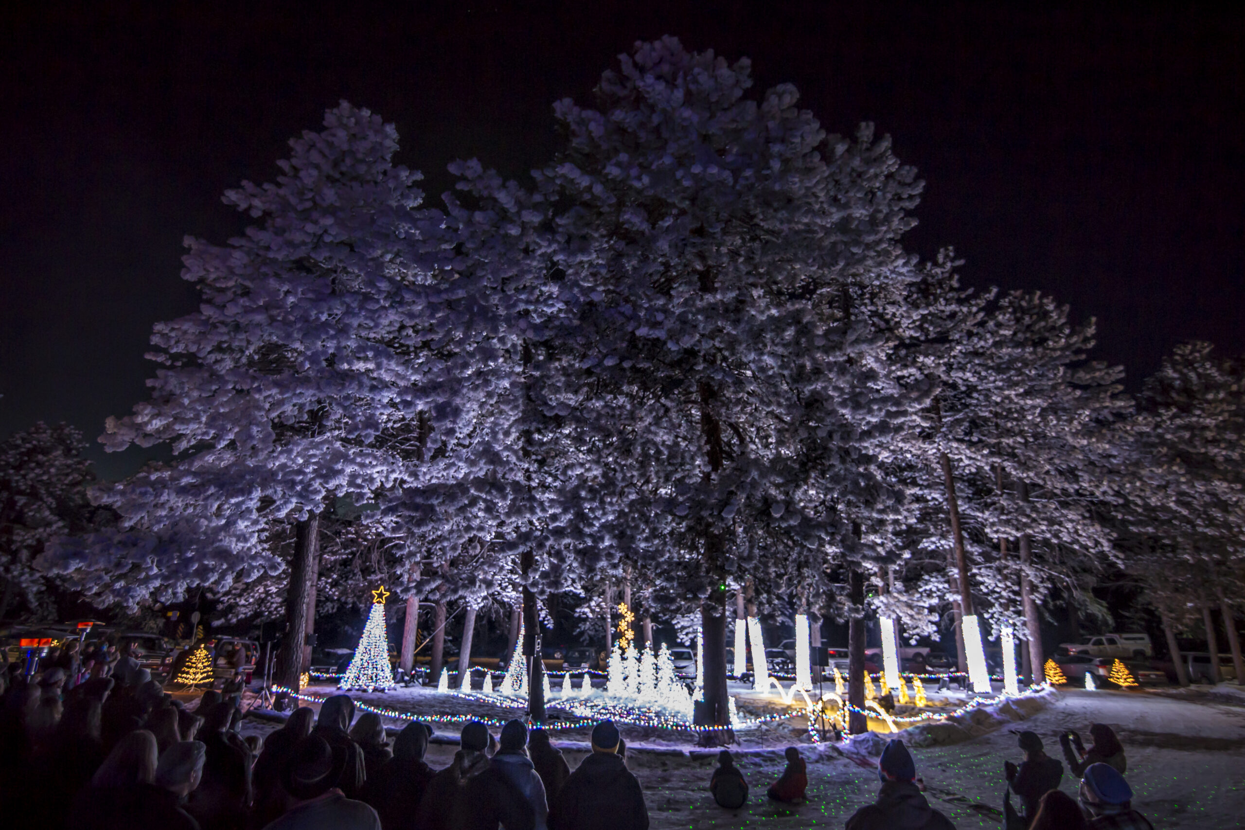 Ccc Christmas Lights 2015 7613 Scaled 18