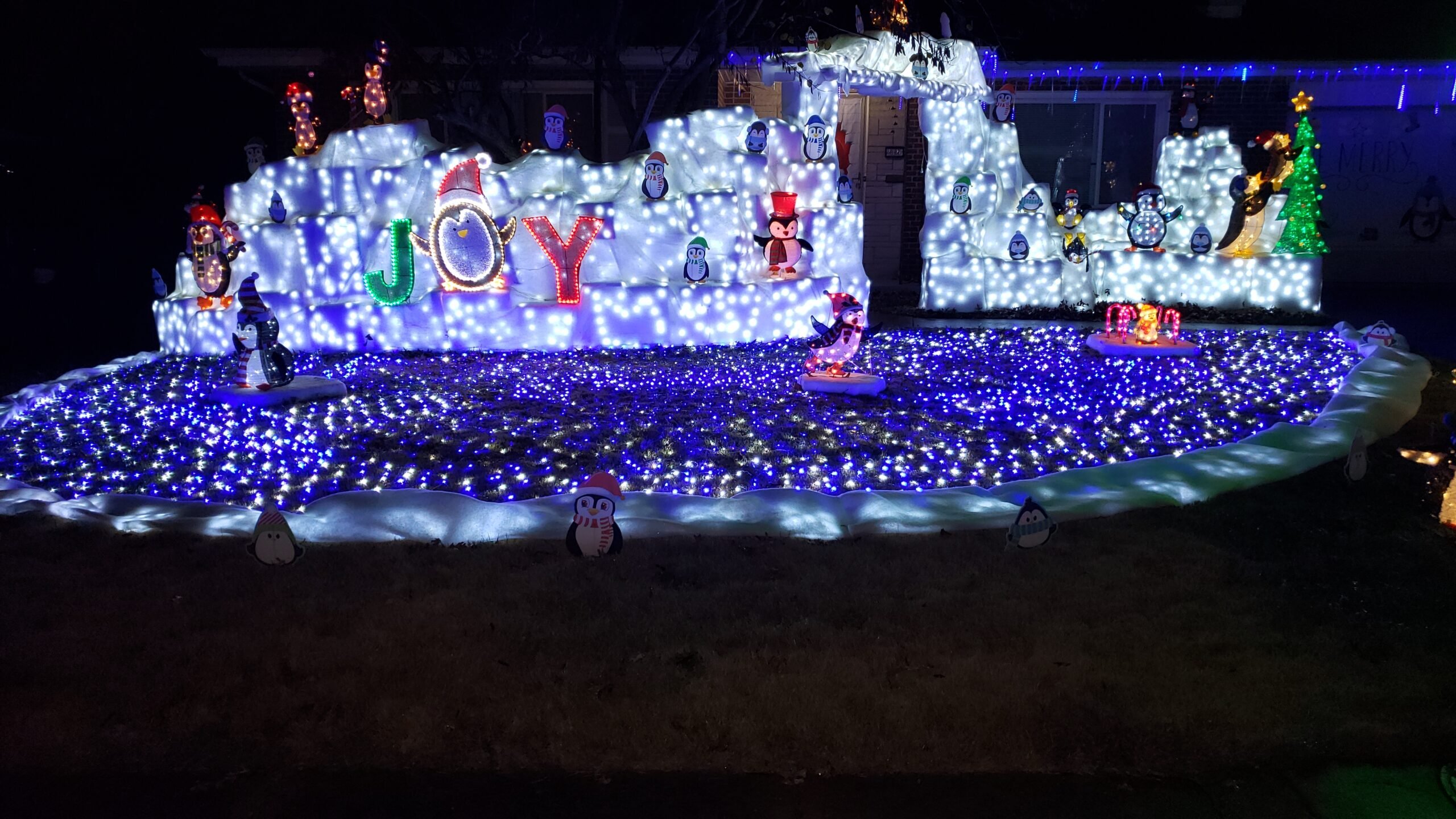 Finished Look01 Scaled 1