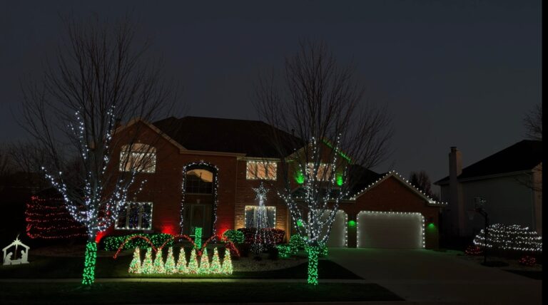 Lights on Clary Sage