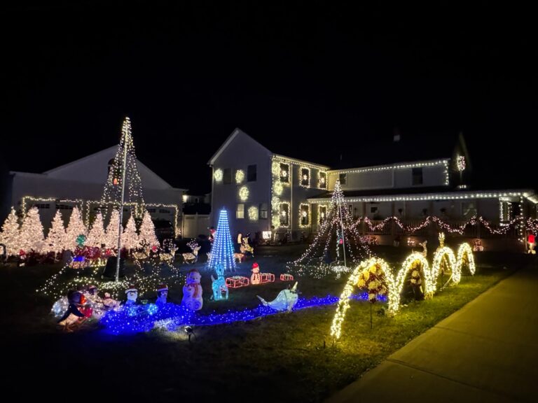 Rohner Family light Show 