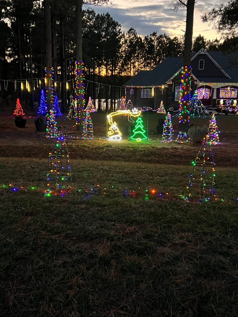 Winter Wonderland 