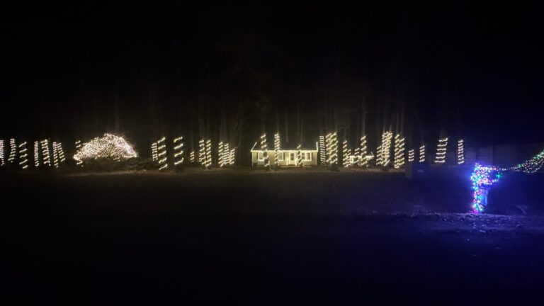 Christmas Forest 