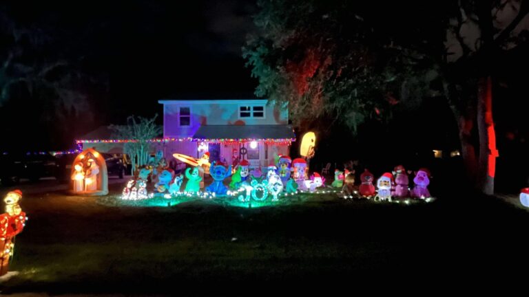 Janiero St. Wonderland