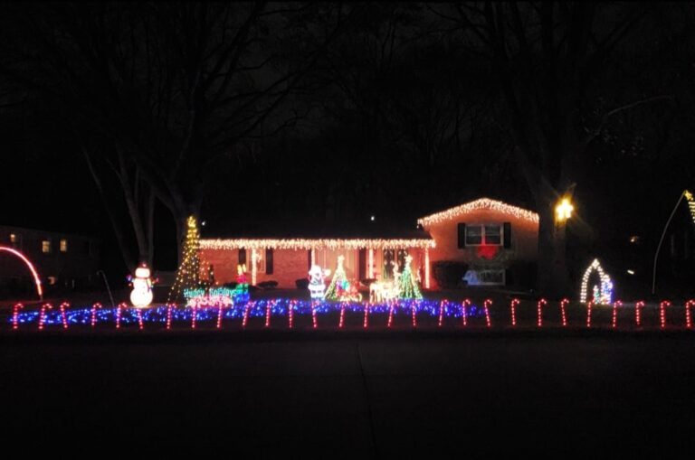 Screenshot 20241019 205638 Gallery