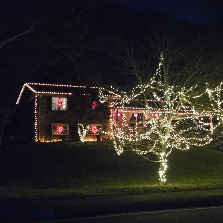 Image 1 of Hout Christmas Lights