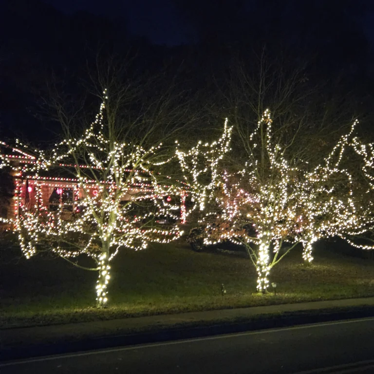 Image 2 of Hout Christmas Lights
