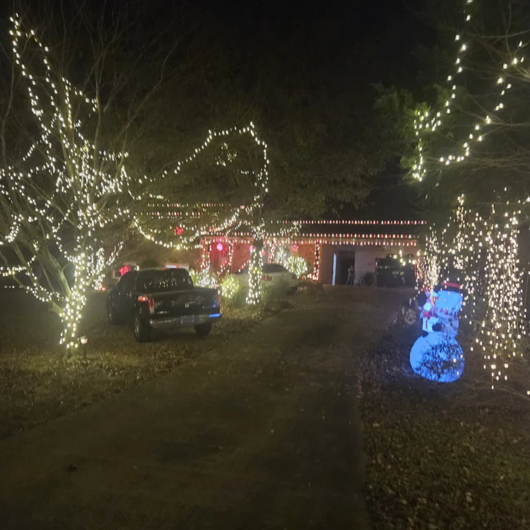 Image 14 of Hout Christmas Lights