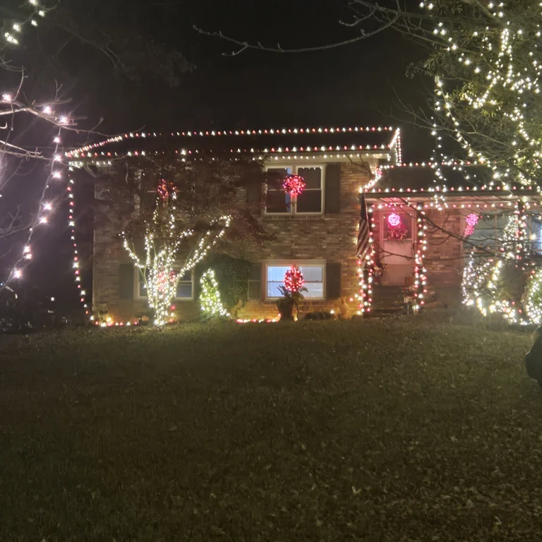 Image 15 of Hout Christmas Lights