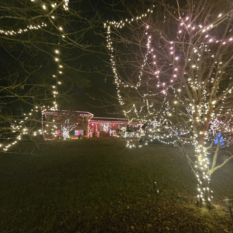 Image 4 of Hout Christmas Lights