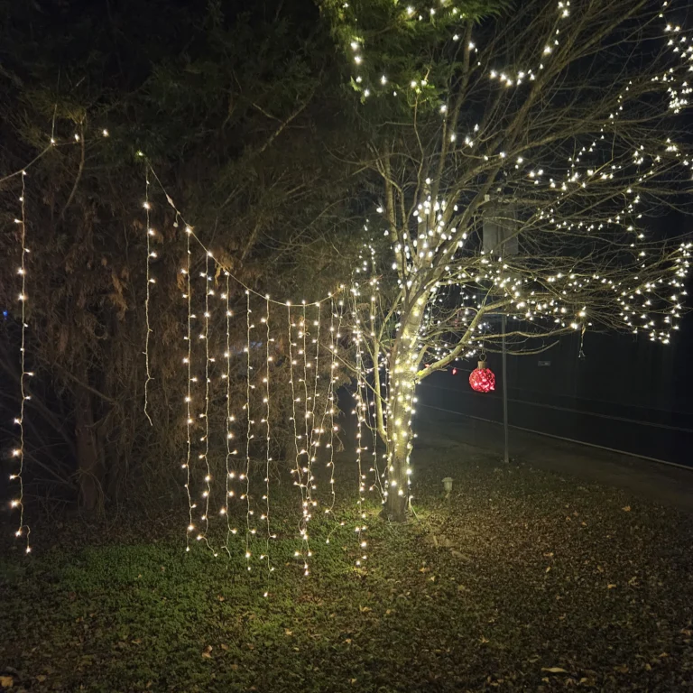 Image 7 of Hout Christmas Lights