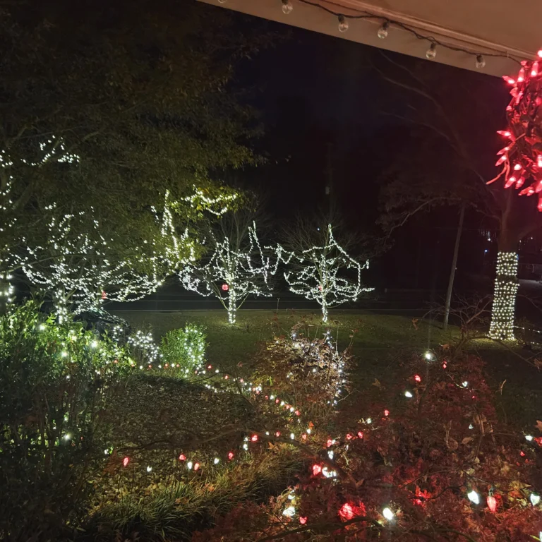 Image 8 of Hout Christmas Lights