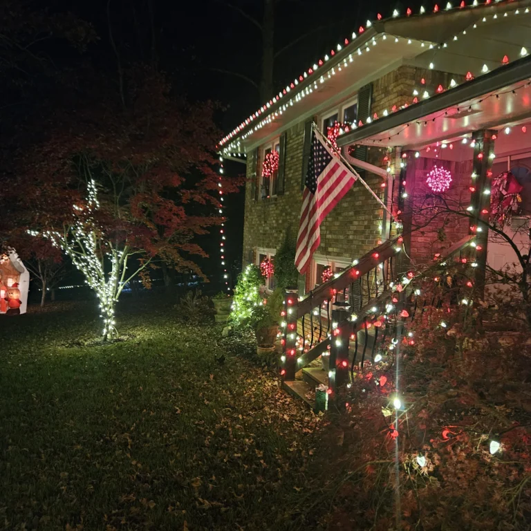 Image 6 of Hout Christmas Lights