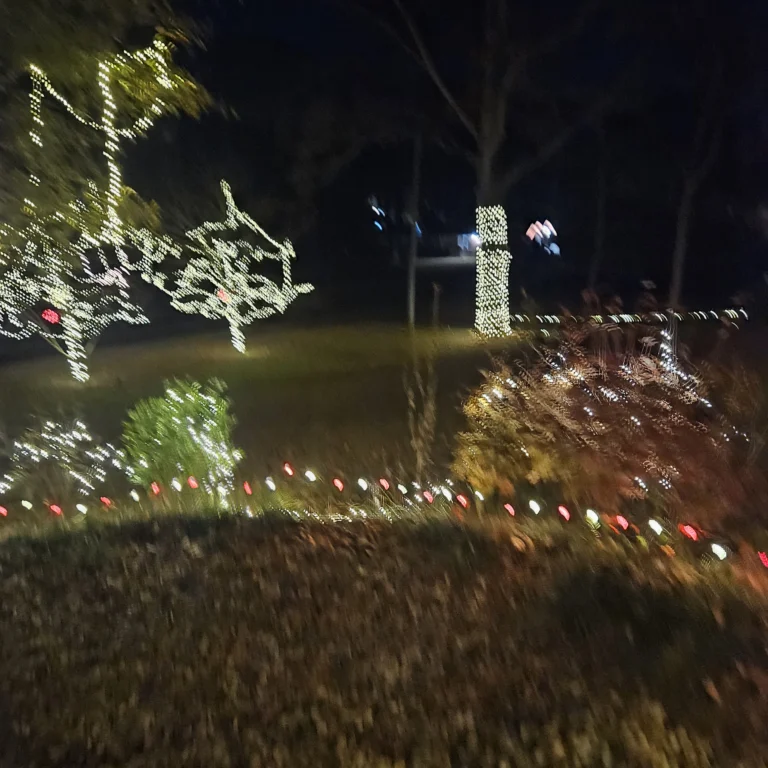 Image 5 of Hout Christmas Lights