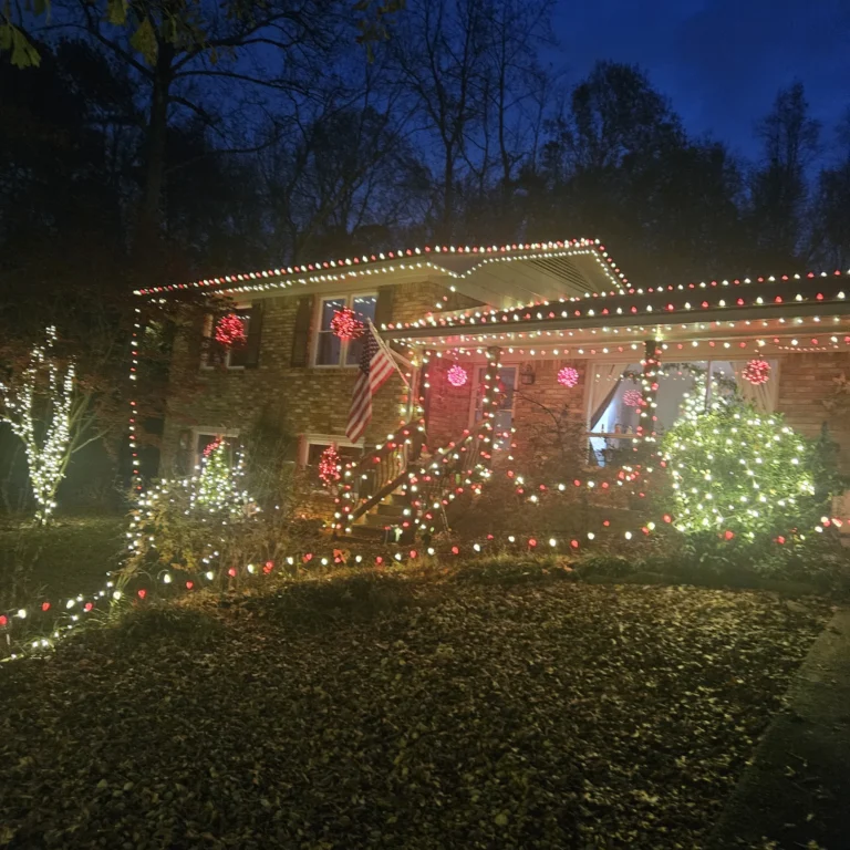 Image 13 of Hout Christmas Lights