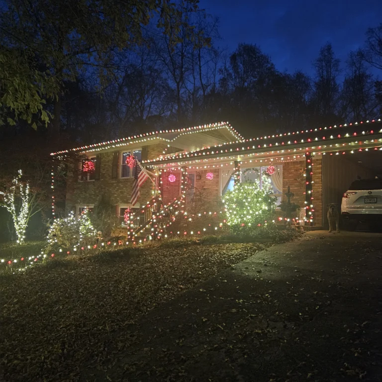 Image 12 of Hout Christmas Lights