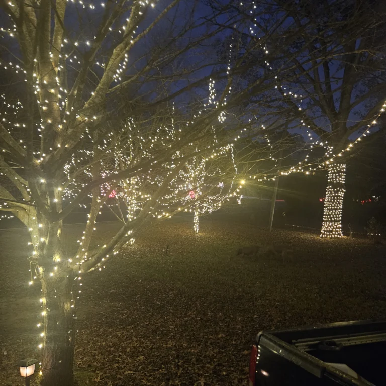 Image 11 of Hout Christmas Lights