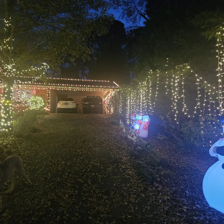 Image 9 of Hout Christmas Lights