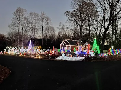 Schweitzer's Winter Wonderland, 108 Summerfield Ct, Clover, SC
