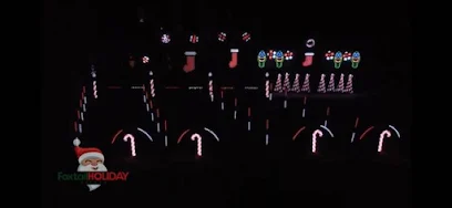 Foxtail Holiday Lights