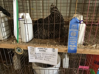 411336798 8187917520000002