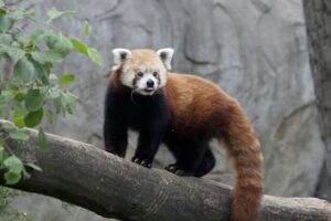 457322656 1086206567