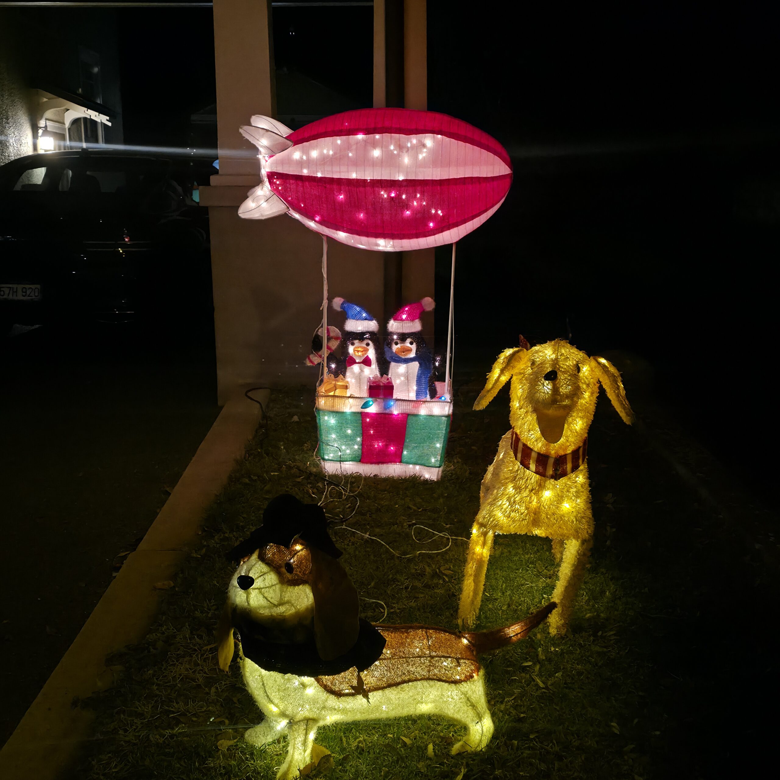 Image 1 of Christmas Delight